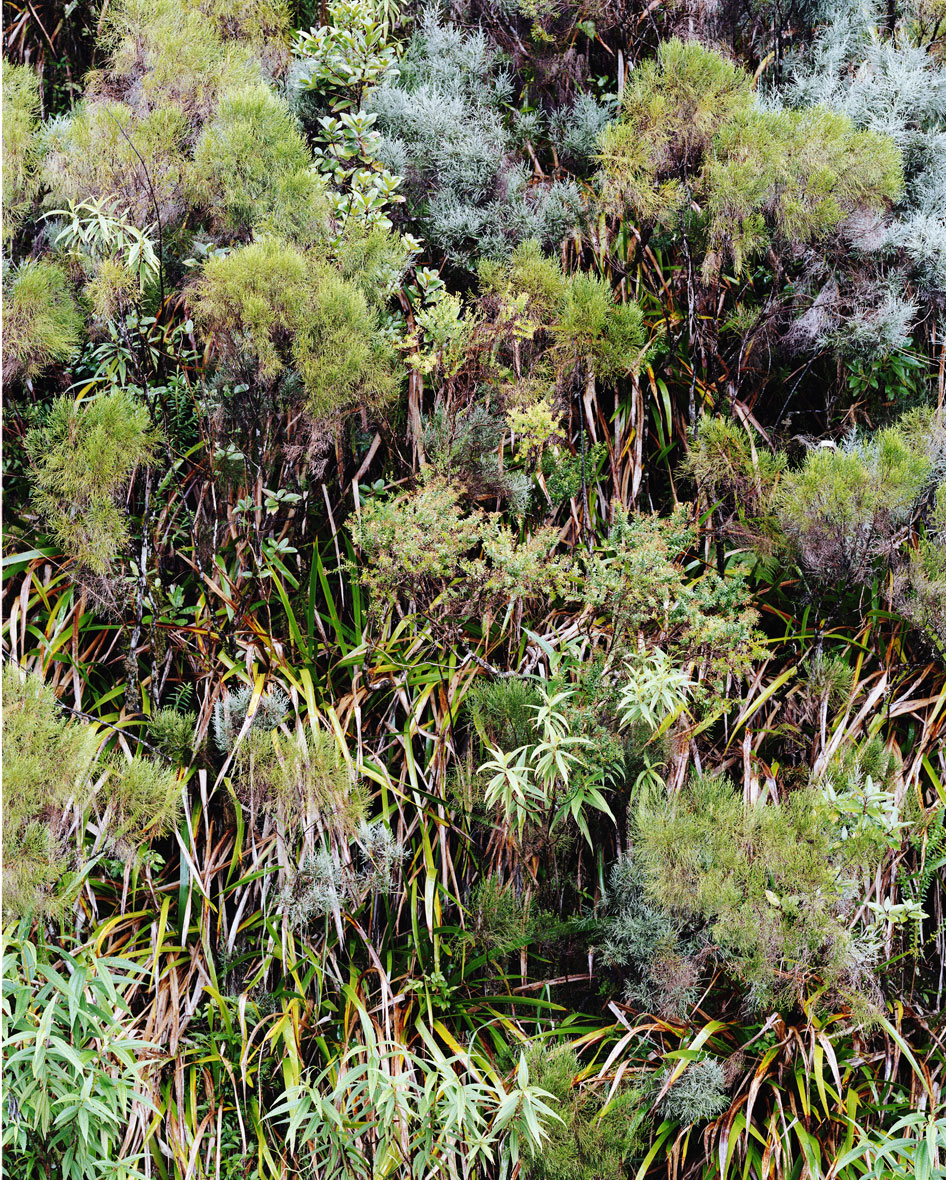 La Réunion Air France Magazine AD : Yann Le Duc Art Buyer : Véronique Masini